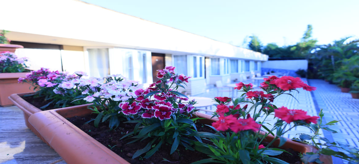 family hotels in mahabaleshwar